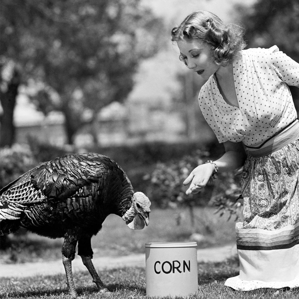 What Has Changed From Thanksgiving in the 50's?